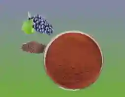 quercetin-rutin-grape-seed